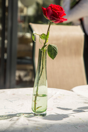 Roseの写真素材