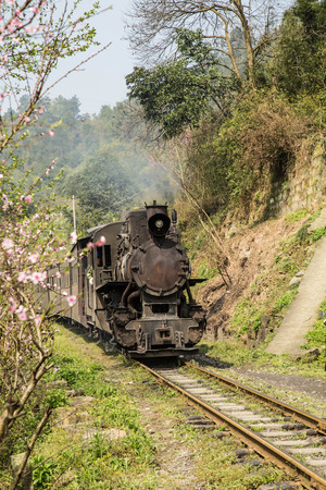 Steam trainのeditorial素材