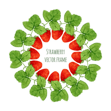 Vector illustration with watercolor strawberry frame. Hand drawn berry for farmers market,  herbal tea, eco product design, soap package, etc. Organic food decoration.のイラスト素材