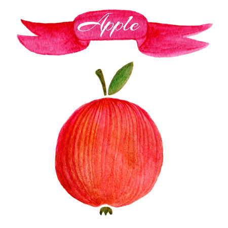 Watercolor fruit icon. Watercolor vector apple. Red apple logo design template. Healthy food.のイラスト素材