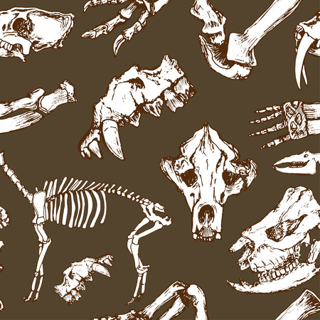 Sketchy prehistorical animals pattern. Archeology excavations, skeleton and skulls seamless vectorのイラスト素材