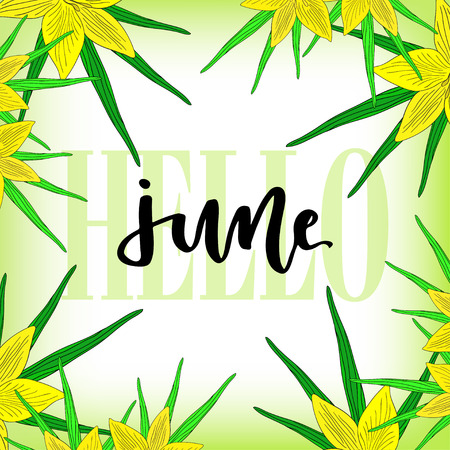 Vector tropical frame with flowers and lettering June. Hello june vector icon. Hand drawn vector illustration with yellow flower.のイラスト素材