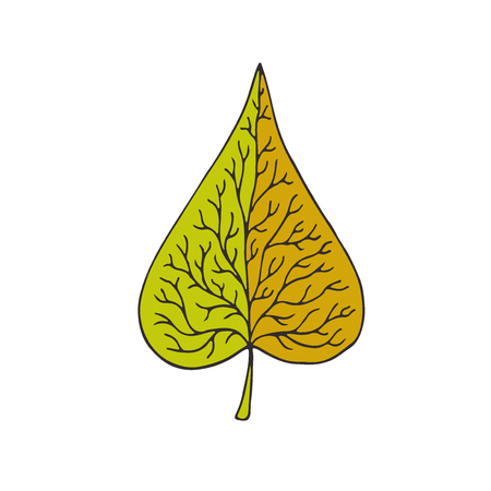 Leaf icon design. T-shirt print design. Cute doodle sticker patchのイラスト素材