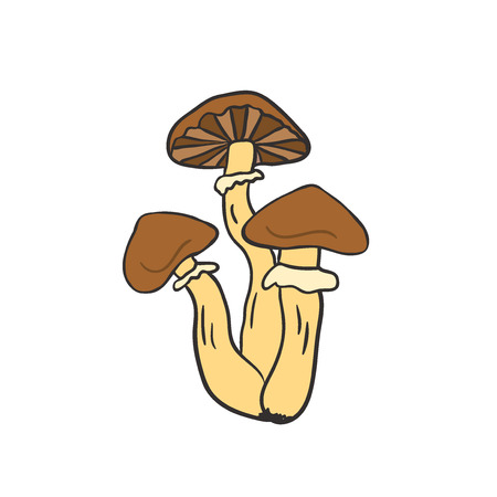 Mushroom icon design. Vegan sticker and patch. Honey agaricのイラスト素材