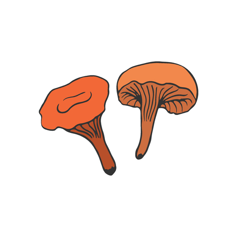 Mushroom icon design. Vegan sticker and patch. Chanterelles vector illustration.のイラスト素材