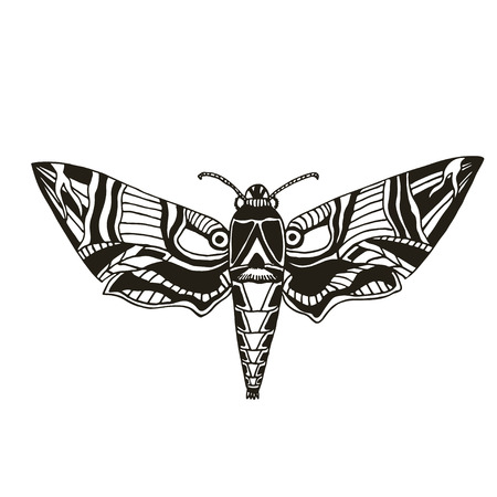 Moth Tattoo art. Night Butterfly illustration.のイラスト素材