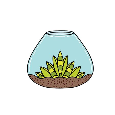Succulent in glass container. Sticker design with green succulent plant. Interior nature print.のイラスト素材