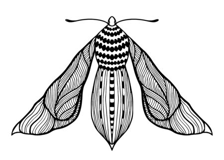 Butterfly illustration. Poster printable designのイラスト素材