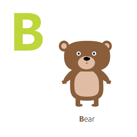 Letter B Bear Zoo alphabet. English abc letters with animals Education cards for kids Isolated White background Flat design Vector illustrationのイラスト素材