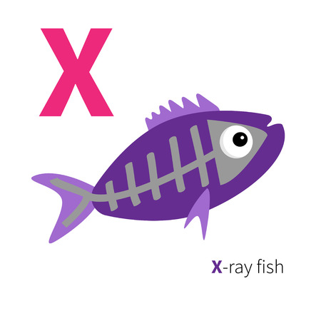 Letter X X-ray fish Zoo alphabet. English abc with animals Education cards for kids Isolated White background Flat design Vector illustrationのイラスト素材