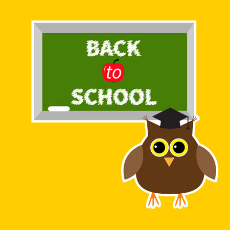 Owl in graduate hat academic cap and green board with chalk on the wall Back to school Education card Flat design  illustrationのイラスト素材