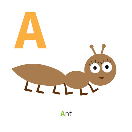 Letter A Ant Insect Zoo alphabet. English abc with animals Education cards for kids Isolated White background Flat design Vector illustrationのイラスト素材