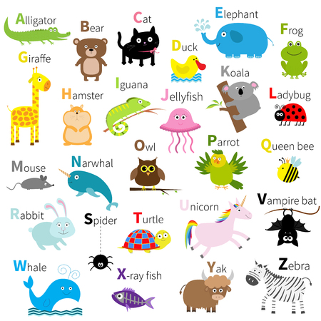 Zoo animal alphabet. Cute cartoon character set. Isolated. White design. Baby children education. Alligator, bear, cat, duck, elephant frog giraffe hamster iguana  Flat design Vector illustrationのイラスト素材