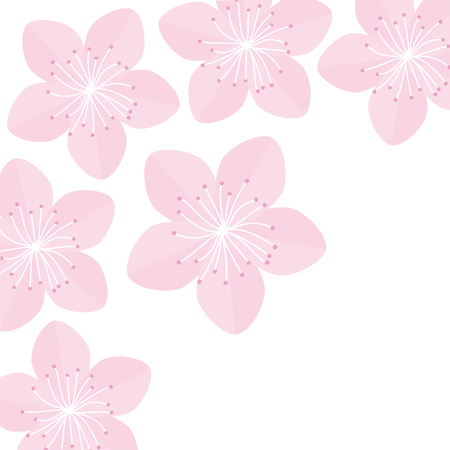 Sakura flowers. Japan blooming pink cherry blossom Isolated on white background Flat design Vector illustrationのイラスト素材