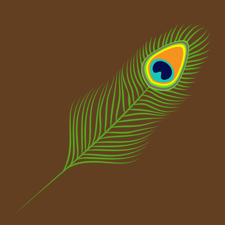 Peacock feather. Exotic tropical bird colorful tail. Isolated. Brown background. Flat design. Vector illustrationのイラスト素材