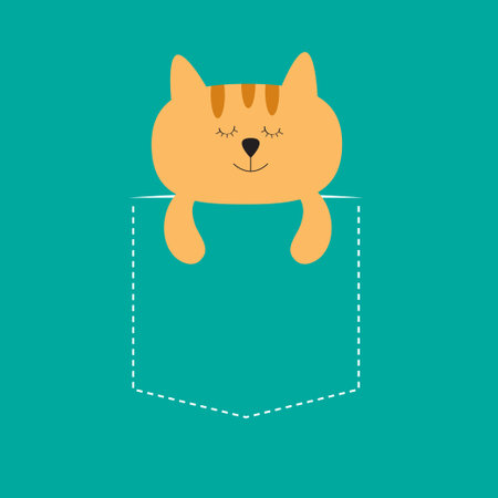 Cat sleeping in the pocket. Cute cartoon character. Orange kitten sleep kitty. Dash line. Pet animal...