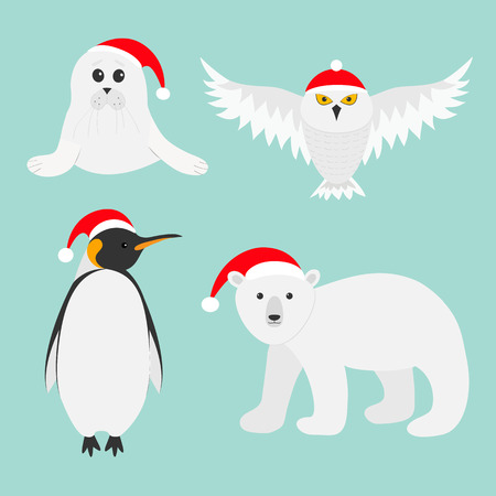 Arctic polar animal set. White bear, owl, king penguin Emperor Aptenodytes Patagonicus, Seal pup baby harp in red Santa hat. Merry Christmas card. Winter antarctica blue background Flat design. Vectorのイラスト素材
