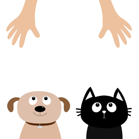 Helping hand. Dog Cat Pet adoption. Puppy pooch kitty cat looking up to human hands. Flat design.のイラスト素材