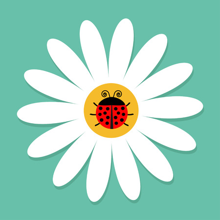 Ladybird Ladybug insect on white daisy chamomile. Camomile icon. Cute growing flower plant collection. Love card. Cartoon character.のイラスト素材