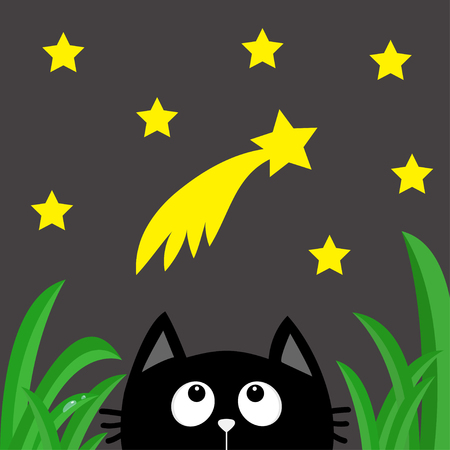 Black cat looking up to comet with stars in the dark night. Green grass dew drop. Cute cartoon character. Kawaii romantic animal. Greeting card. Flat Gray background Isolated. Vector illustrationのイラスト素材