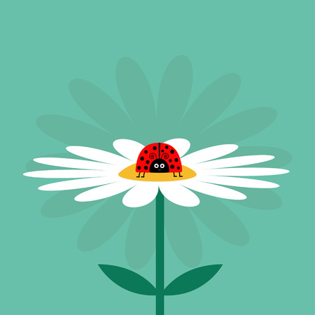 Ladybug Ladybird insect on white daisy chamomile. Cute growing flower plant collection. Love card. Camomile icon. Cartoon character. Flat design. Green background. Isolated. Vector illustrationのイラスト素材