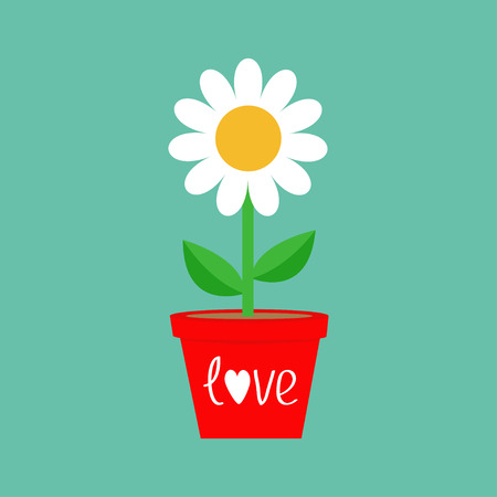 Daisy in red pot. Chamomile icon. White chamomile. Cute flower plant collection. Growing concept.のイラスト素材