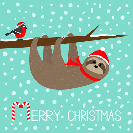 Merry Christmas. Sloth hanging on rowan rowanberry sorb berry tree branch. Bullfinch bird. Santa hat. Happy New Year. Cute cartoon funny baby character. Flat design. Blue snow background. Vectorのイラスト素材