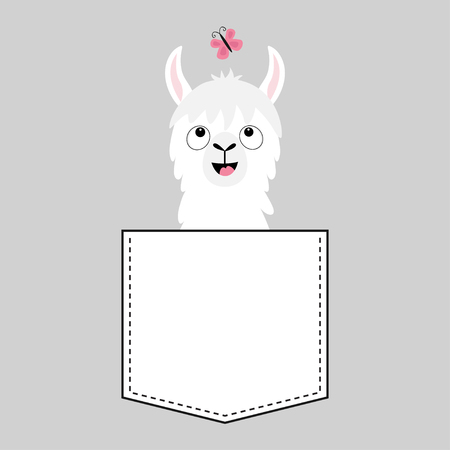 Llama alpaca face head in the pocket. Butterfly. Cute cartoon animals. Kawaii character. Dash line. White and black color. T-shirt design. Baby gray background. Isolated. Flat design. Vectorのイラスト素材