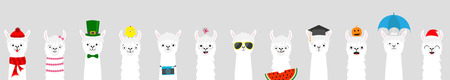 Alpaca llama set. Cute funny cartoon lama character. All seasons. Happy Valentines Christmas St Patrick day Easter Egg Bird Chicken Umbrella Santa hat, sun Flat design Gray background Vectorのイラスト素材