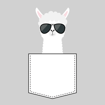 Alpaca llama sitting in the pocket. Face with black sun glasses. T-shirt design. Cute cartoon funny character. Kawaii animal. Love Greeting card. Flat design style. Gray background Vector illustrationのイラスト素材
