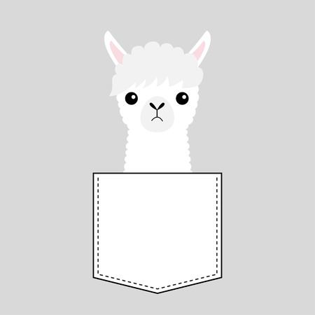 Alpaca llama face head in the pocket. Cute cartoon animals. Kawaii character. Dash line. White and black color. T-shirt design. Baby gray background. Isolated. Flat design. Vectorのイラスト素材