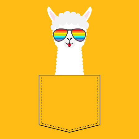 Alpaca llama face head in the pocket. Rainbow glasses. Cute cartoon animals. Kawaii character. Dash line. White and black color. T-shirt design. Baby yellow background. Flat design Vector illustrationのイラスト素材