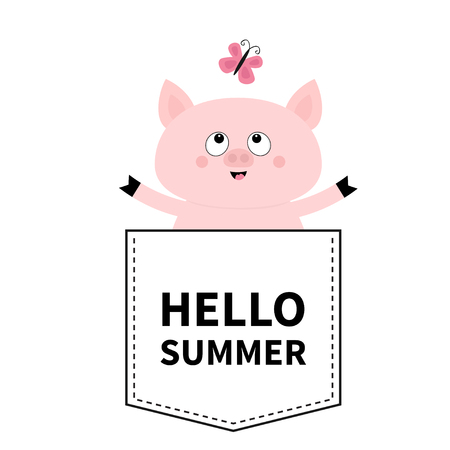 Hello summer. Pig face head in the pocket. Butterfly. Cute cartoon animals. Piggy piglet character. Dash line. White and black color. T-shirt design. Baby background. Flat design. Vector illustrationのイラスト素材