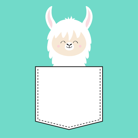 Alpaca llama face sitting in the pocket. T-shirt design. Cute cartoon funny character. Kawaii animal. Love Greeting card. Flat design style. Blue background. Isolated. Vector illustrationのイラスト素材