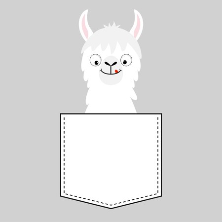 Alpaca llama sitting in the pocket. Face with tongue. T-shirt design. Cute cartoon funny character. Kawaii animal. Love Greeting card. Flat design style. Gray background. Vector illustrationのイラスト素材