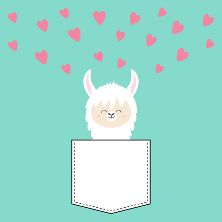 Alpaca llama face sitting in the pocket. T-shirt design. Cute cartoon funny character. Kawaii animal. Pink hearts. Love Valentines Day greeting card. Flat design style. Blue background. Vectorのイラスト素材