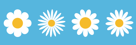 Camomile round icon set. White daisy chamomile. Cute round flower plant collection. Growing concept. Love card symbol. Flat design. Blue background. Isolated. Vector illustrationのイラスト素材