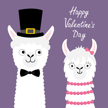 Happy Valentines Day. Llama alpaca animal set. Love couple. Girl Boy. Black hat. Face neck. Fluffy hair fur. Cute cartoon funny kawaii baby character. Love card. Flat design. Violet background. Vectorのイラスト素材