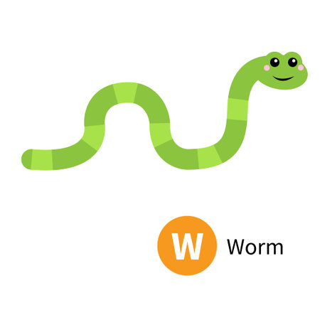 Letter W. Worm. Zoo animal alphabet. English abc with cute cartoon kawaii funny baby insect animals. Education cards for kids. Isolated. White background. Flat design. Vector illustrationのイラスト素材