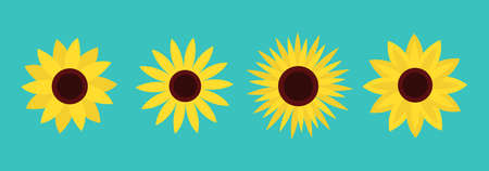 Sunflower set line. Four yellow sun flower icon. Cute round plant collection. Love card symbol. Growing concept. Flat design. Green background. Isolated. Vector illustrationのイラスト素材