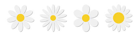 White chamomile daisy flower round icon set. Camomile petal line. Cute plant collection. Growing concept. Happy Valentines Day decoration. Love card. Flat design. Nature background. Isolated. Vectorのイラスト素材