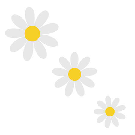 White daisy chamomile set. Camomile icon. Diagonal line. Cute flower plant collection. Love card. Simple shape sign symbol. Growing concept. Flat design. Isolated. Nature background. Vectorのイラスト素材
