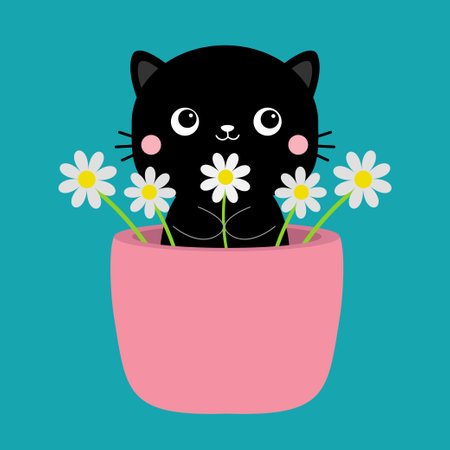 Cat in flower pot. Kitten holding daisy camomile chamomile bouquet. black silhouette. pink cheeks. Cute cartoon funny characters. baby pet animal. flat design. blue background. vector illustrationのイラスト素材