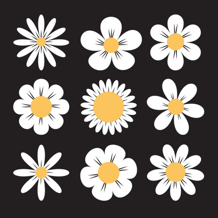 White daisy chamomile set. Camomile icons. Cute round flower head plant collection. Growing concept. Love card symbol. Nature childish style. Simple flat design. Isolated Black background. Vectorのイラスト素材