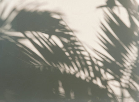 Palm leaf shadows on a white wall