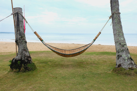 Hammock in the palm on the tropical beachの写真素材