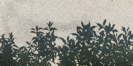 tree shadow on gravel texture as background