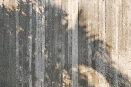 shadow of tree on raw concrete wall with wooden form work textureの写真素材