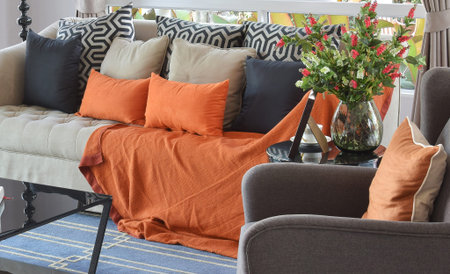 modern living room design with brown and orange tweed sofa and black pillowsの写真素材