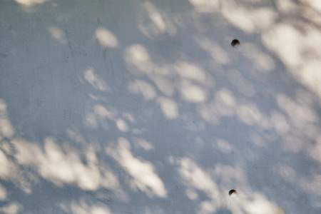 shadow of tree on raw concrete wall textureの写真素材